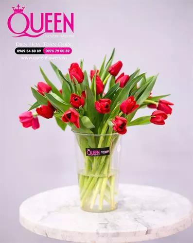 [ Ý Nghĩa của hoa tulip đỏ ] - Sự Thanh Lịch và Đam Mê