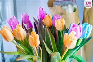 CHÍNH SÁCH VẬN CHUYỂN CỦA QUEEN FLOWERS